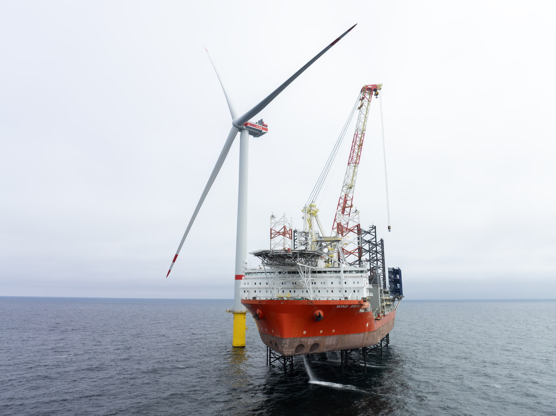 WindEurope Expects 'Catch-Up Effect' in Offshore Wind as Europe
