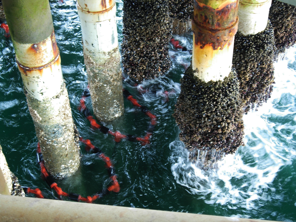 FoundOcean Expands its Subsea and Offshore Services with Introduction of Marine Growth Prevention and Control Products (UK)