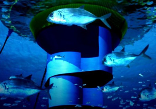 Japan: MODEC Develops Floating Wind & Current Hybrid Power Generation System