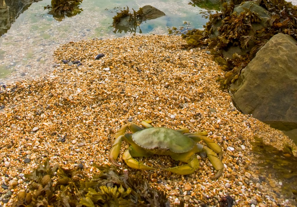 UK: Coastline Surveys Gets ISO 14001:2004 Environmental Management System Accreditation