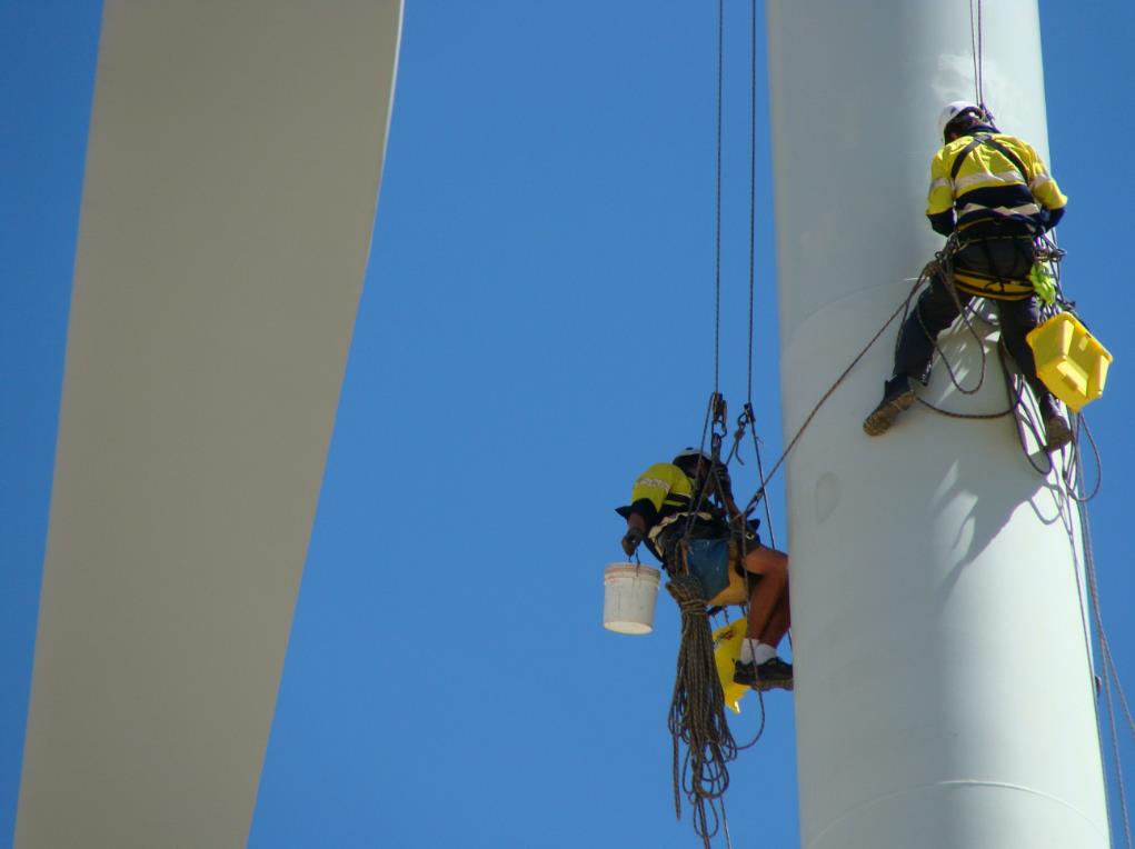 Denmark Becomes Base for Global Wind Organisation