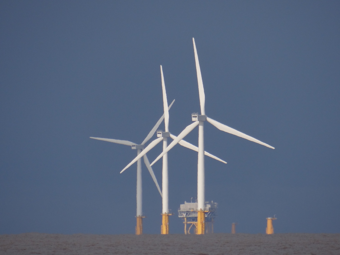 Lynn And Inner Dowsing