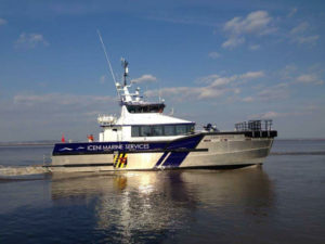 Image of Iceni Defender