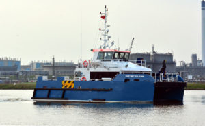 Image of Fastnet Pelican