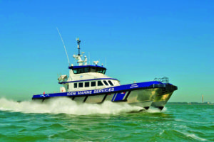 Image of Iceni Victory