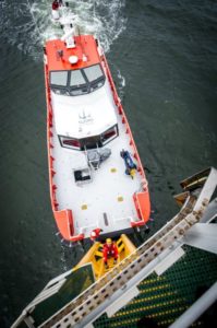 Image of Njord Kittiwake