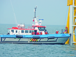 Image of MCS Maestro