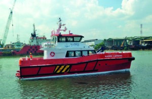 Image of Njord Lapwing