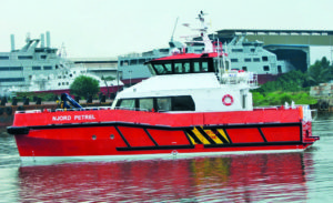 Image of Njord Petrel