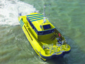 Image of CWind Buzzard