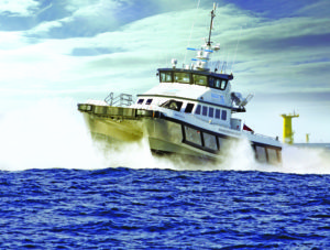 Image of Seacat Volunteer