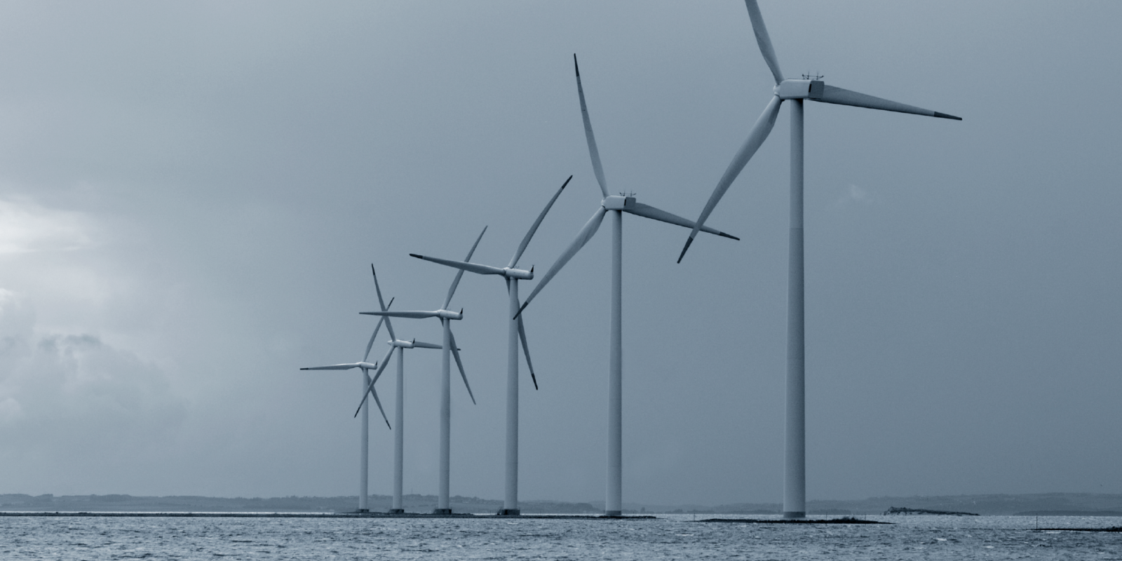 Danish TP Protection Project Gets Funding