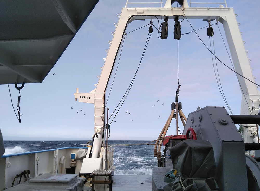 Environmental Impact Survey Wraps Up at French Pilot Floater