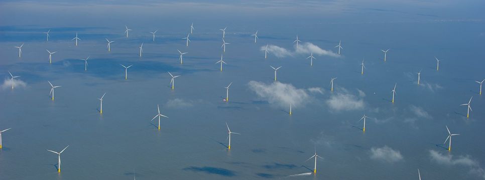 ScotWind Leasing Timeline Confirmed