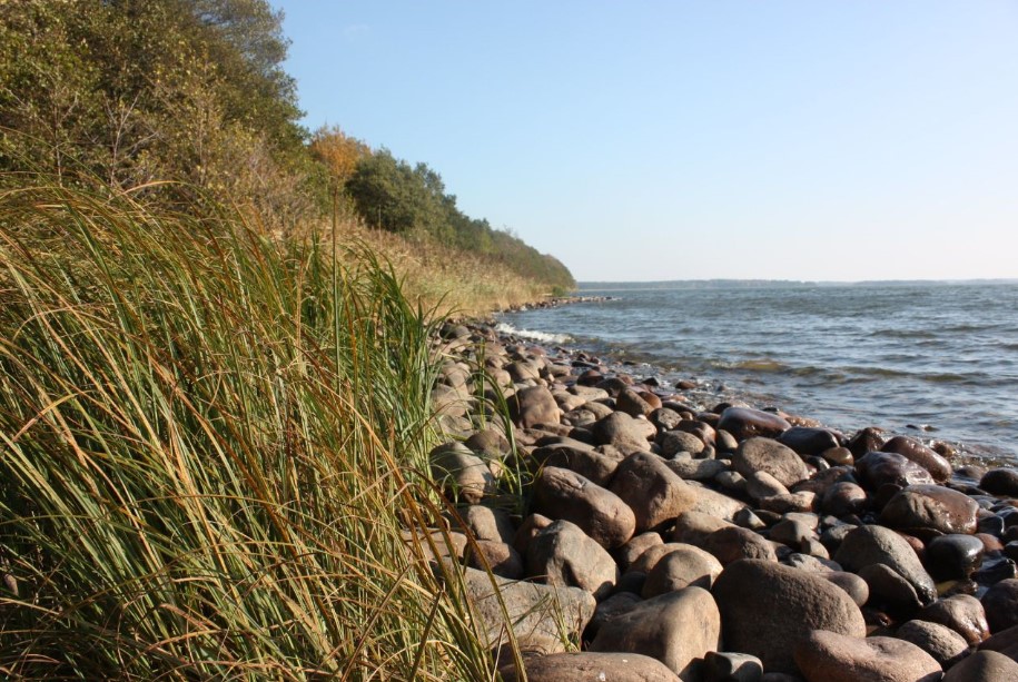 Cloudberry and Downing Sign Sale Deal for Swedish Lake Wind Farm