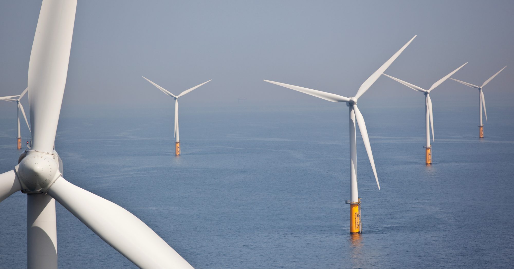 An offshore wind farm
