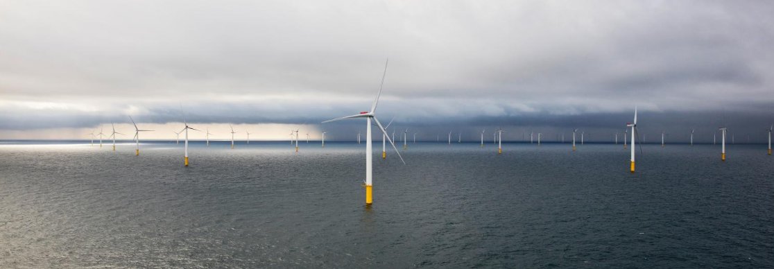 An offshore wind farm