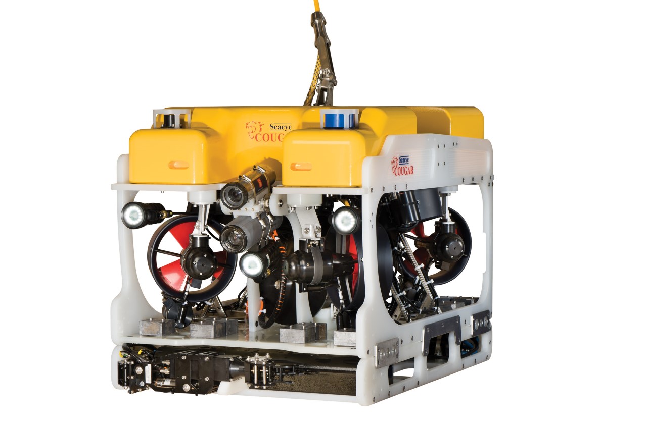 Saab Cougar Pounces in Taiwan