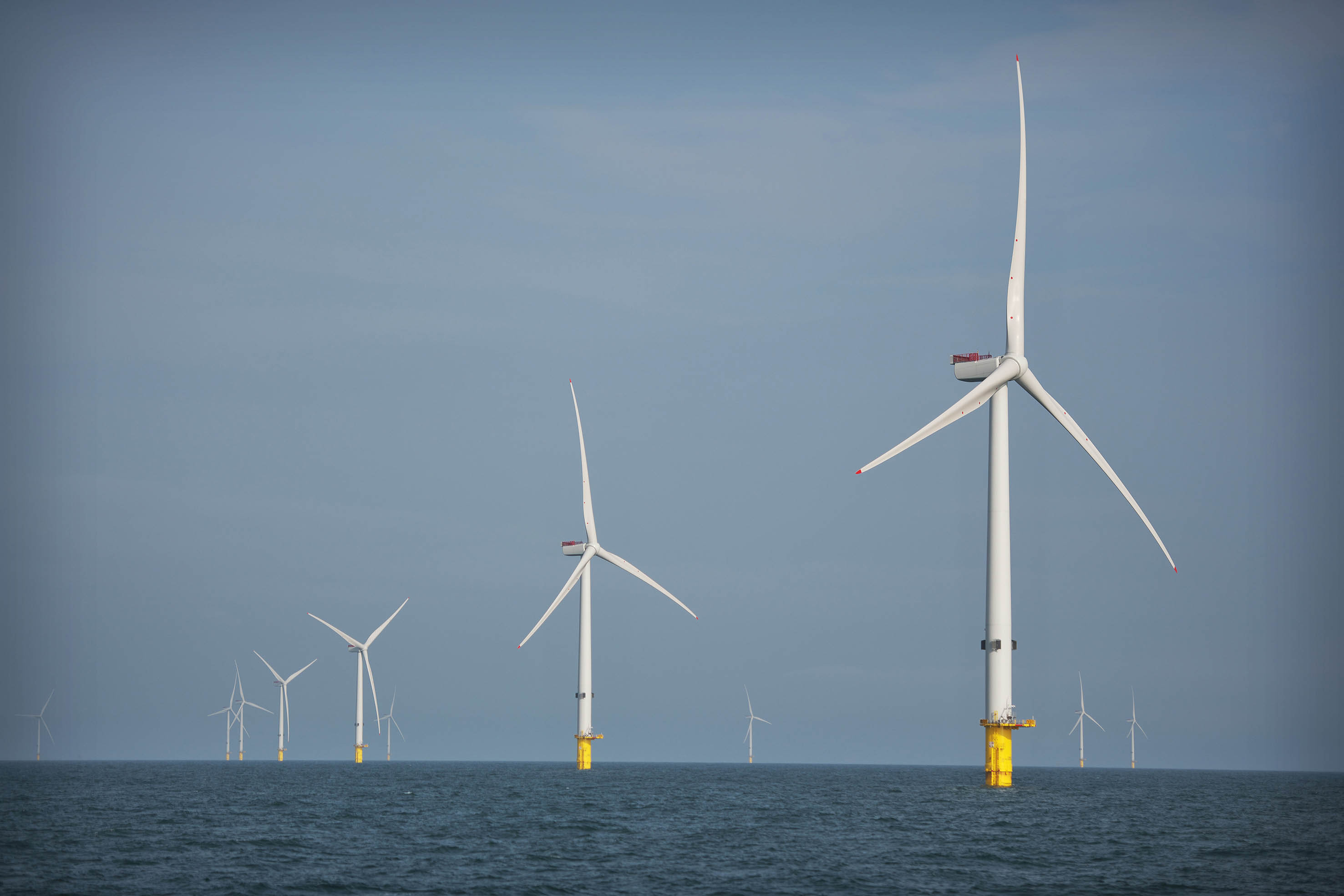 A photo of the Triton Knoll offshore wind farm