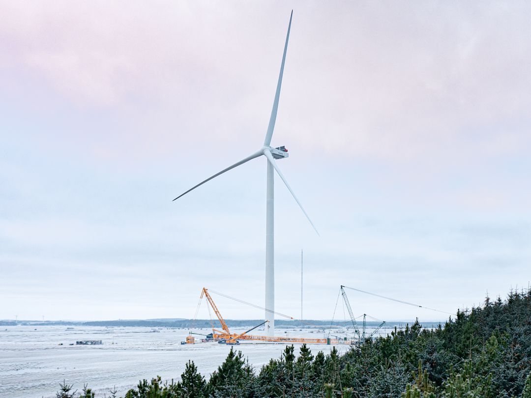 Vestas zdobywa w Polsce zamówienie na morskie turbiny wiatrowe o mocy 1,1 GW