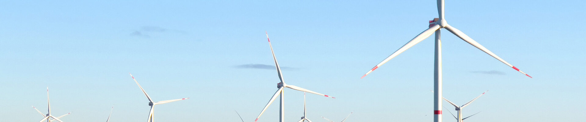 A photo of RWE's Kaskasi offshore wind farm