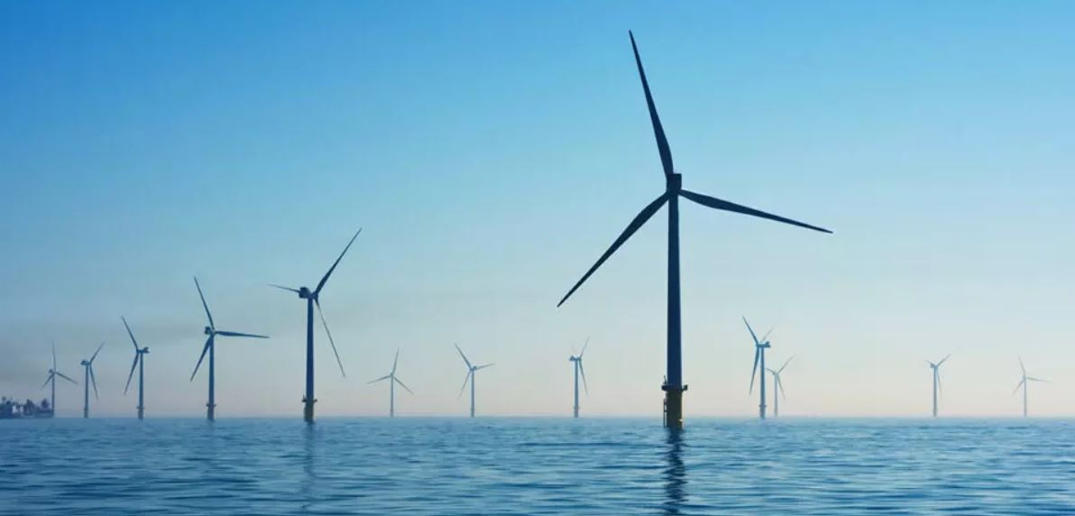 Anma Offshore Wind FInal EIA