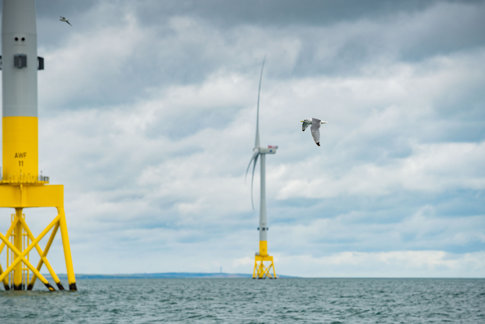 Vattenfall to Take part in 4 GW Dutch Offshore Wind Tender