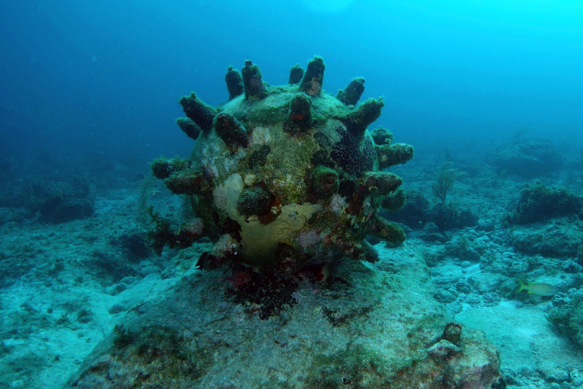 Source: OEG Renewables, East Anglia Three