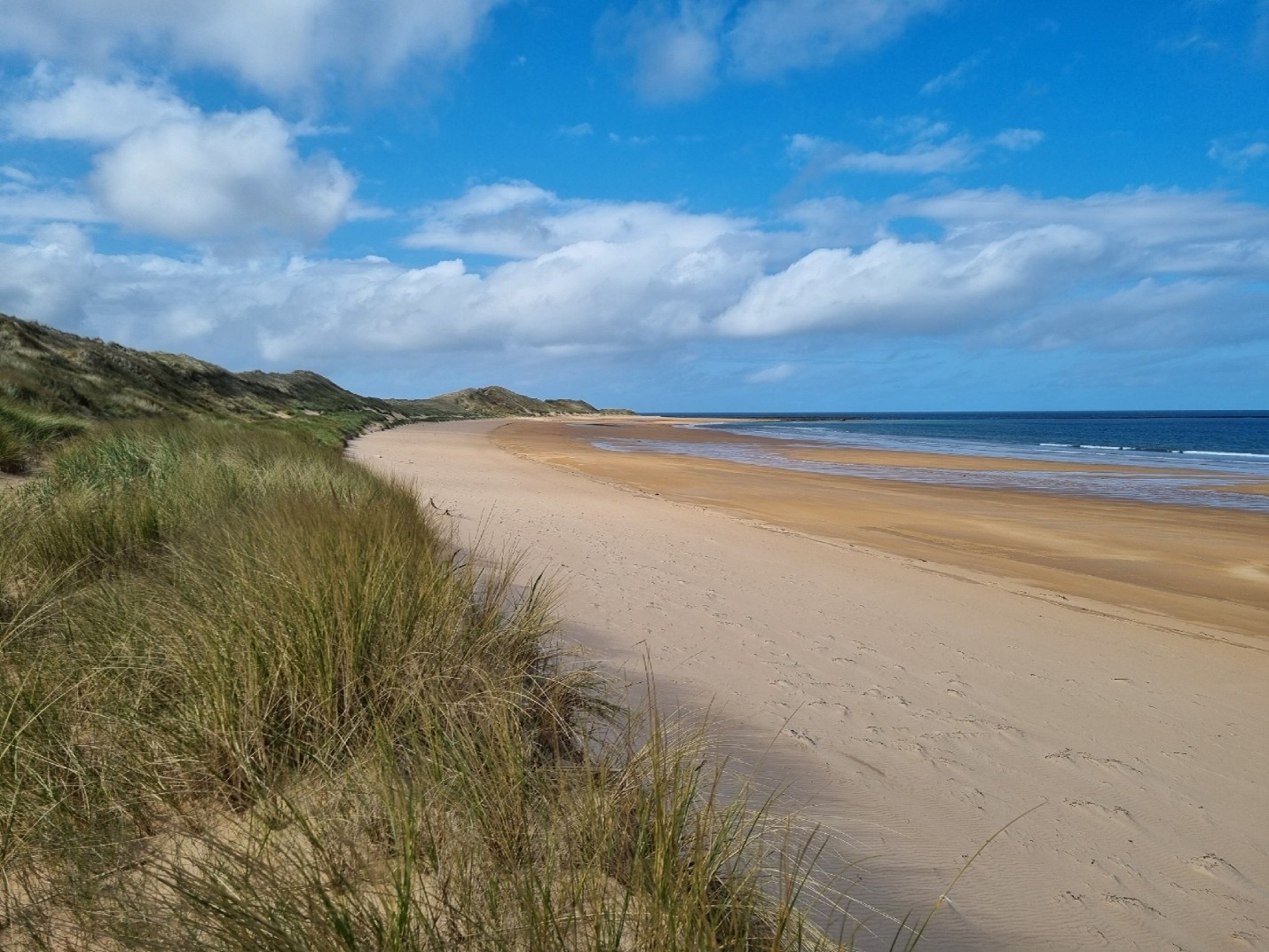 Salamander offshore wind farm
