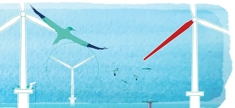 Ecowende Vestas Hollandse Kust West red blade